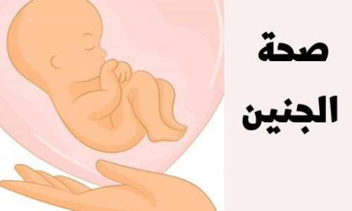 روزاليوسف : د. شادى سليم يكتب : حملة عربية للاهتمام بصحة الجنين